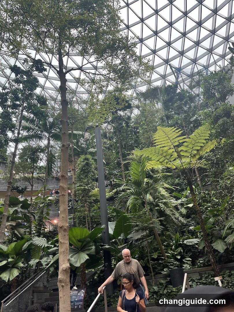 Indoor Tropical Garden with Visitors