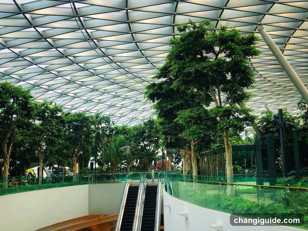 Indoor Garden with Escalator