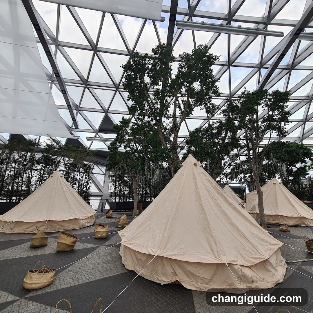 Glamping Tents Under Glass Dome
