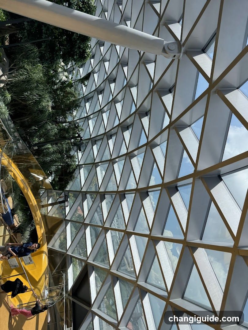 Geodesic Dome Interior View