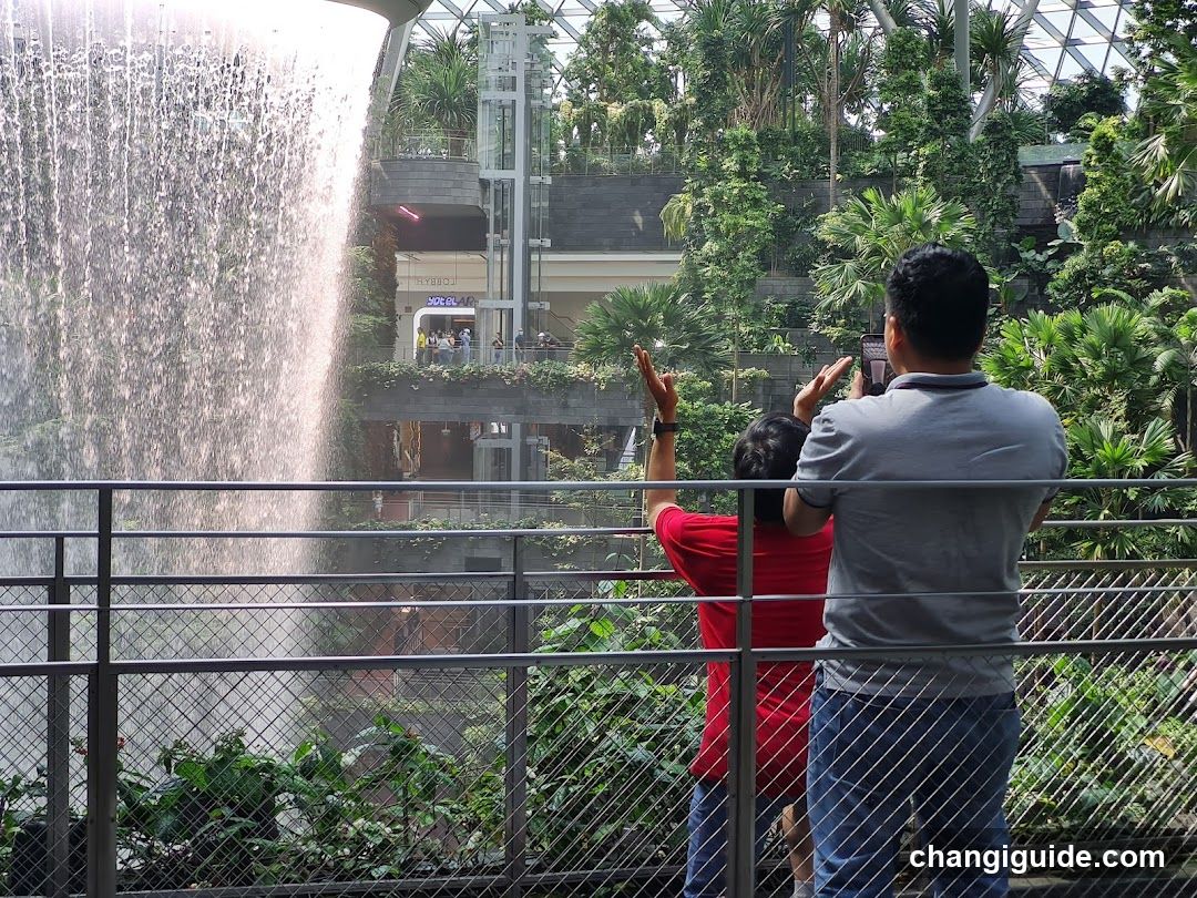People watching a waterfall in a botanical garden