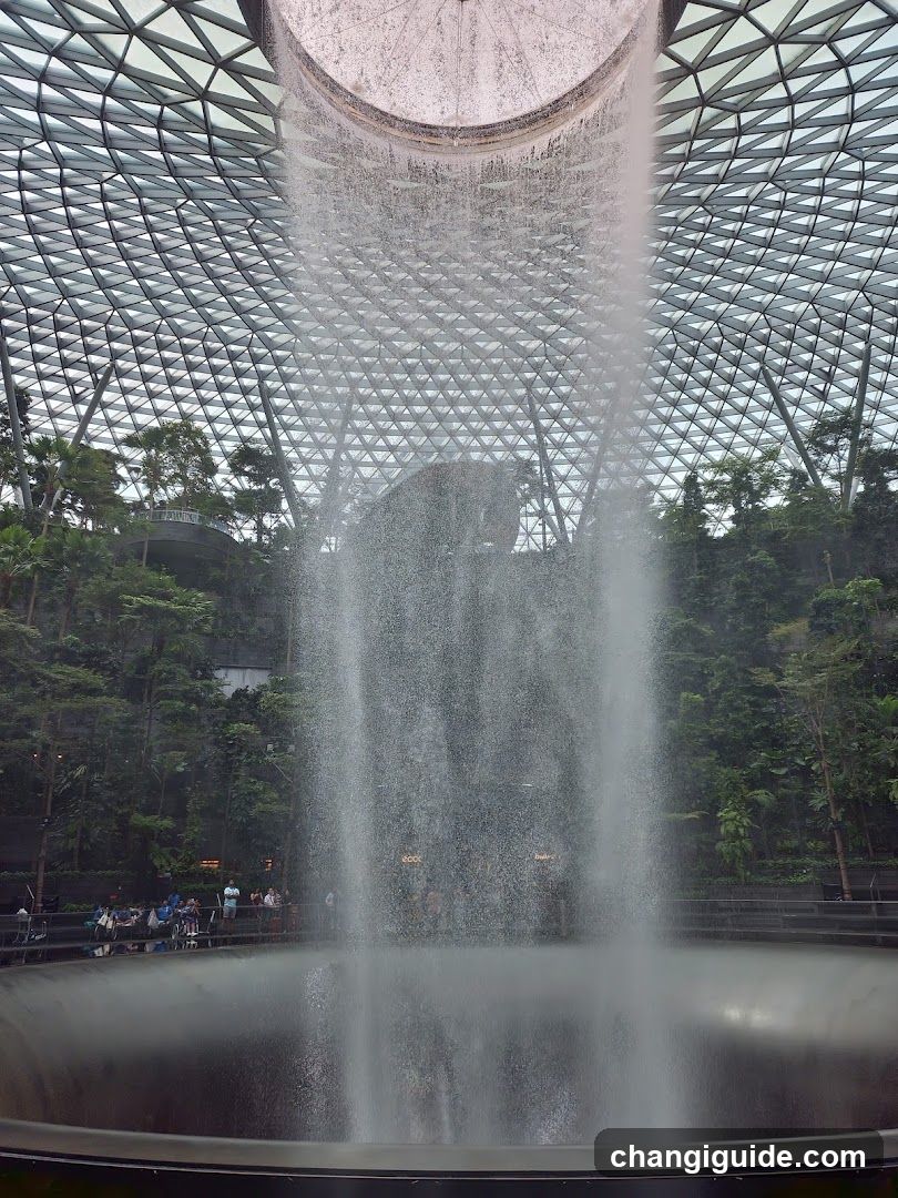 The Rain Vortex at Jewel Changi Airport