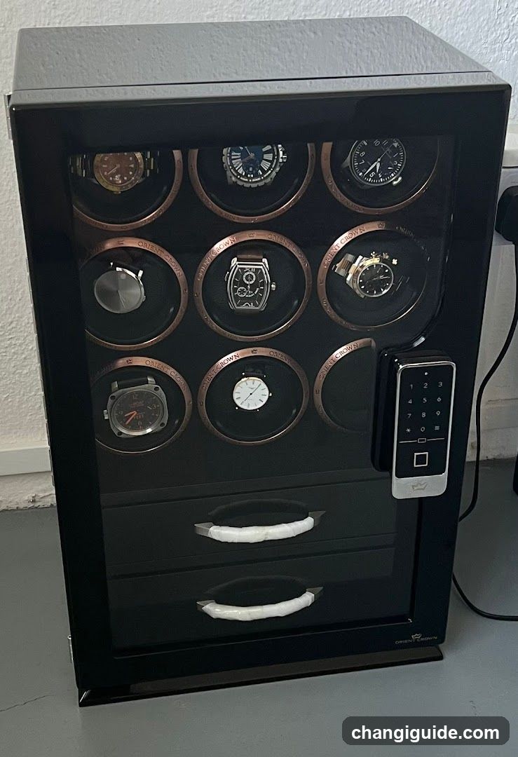 Watch Winding Cabinet