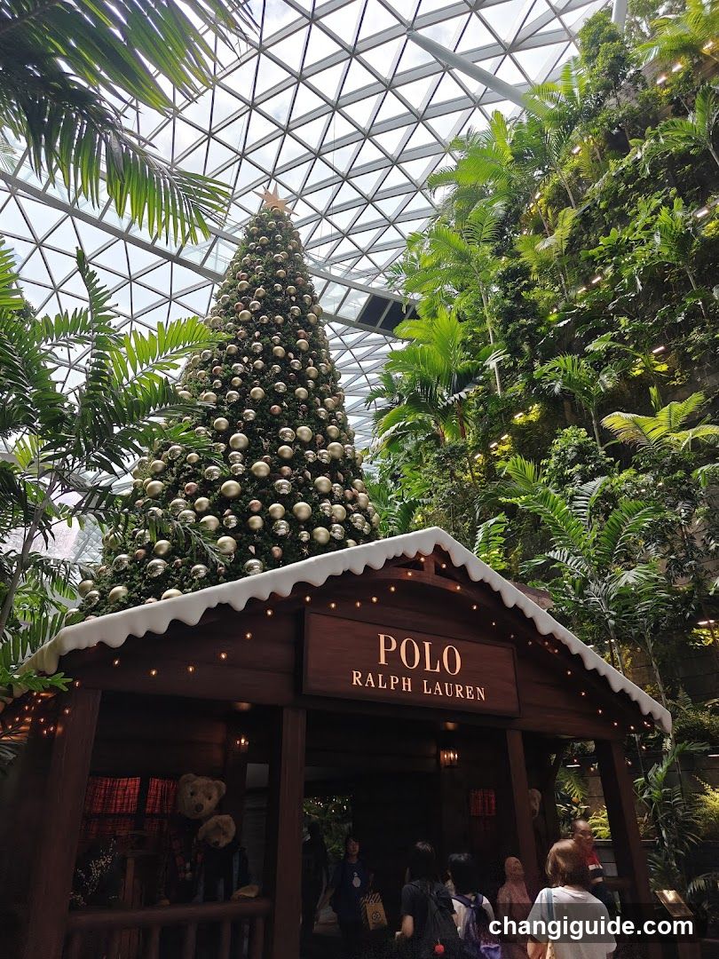 Massimo Dutti Jewel (Changi Airport)