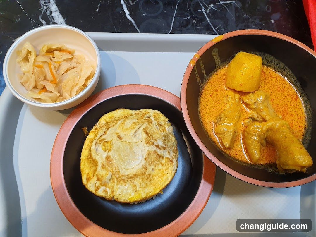 Meal Tray with Curry, Omelette and Pickled Vegetables