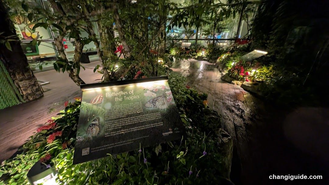 Butterfly Garden