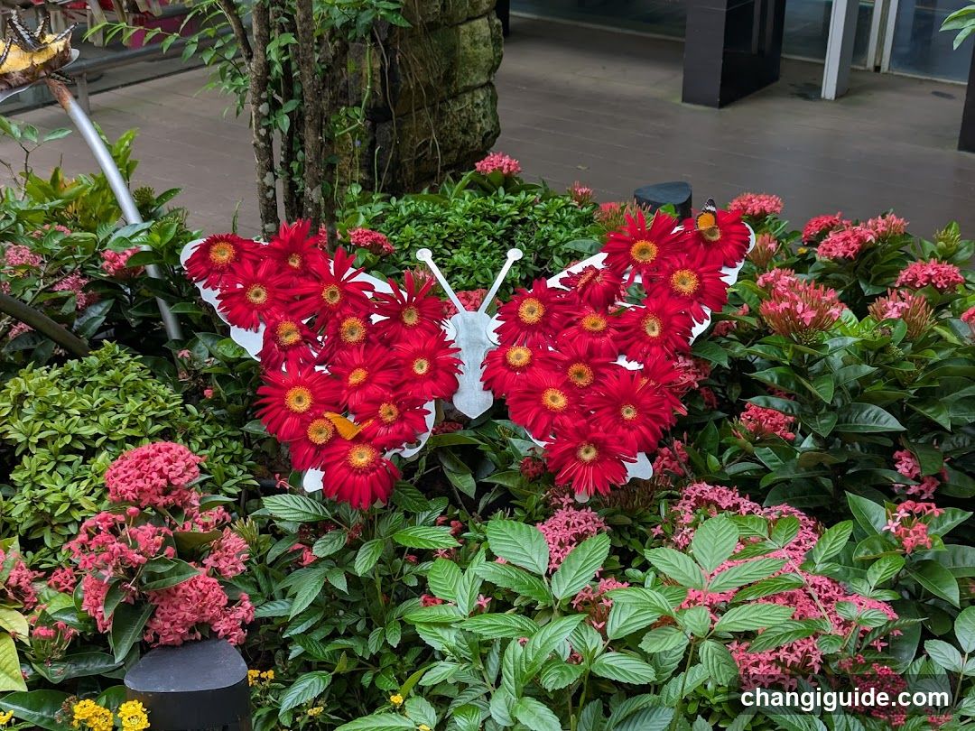 Flower Butterfly Garden Display