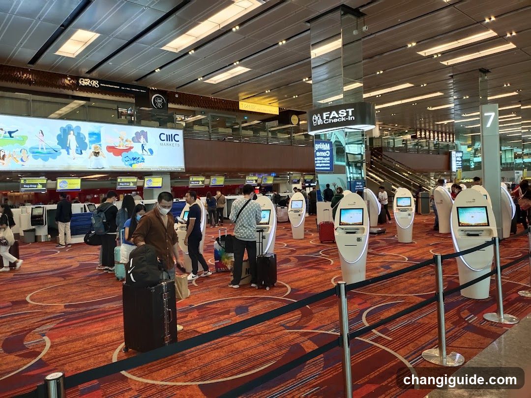 Airport Check-in Hall