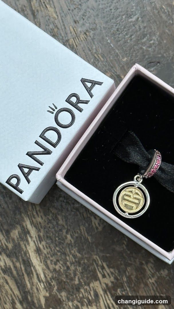 Pandora Charm Box