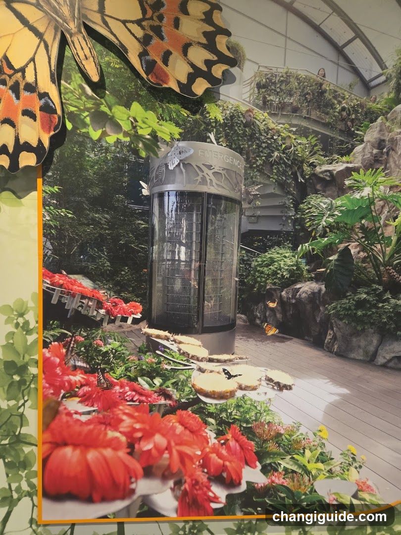 Butterfly Garden Interior