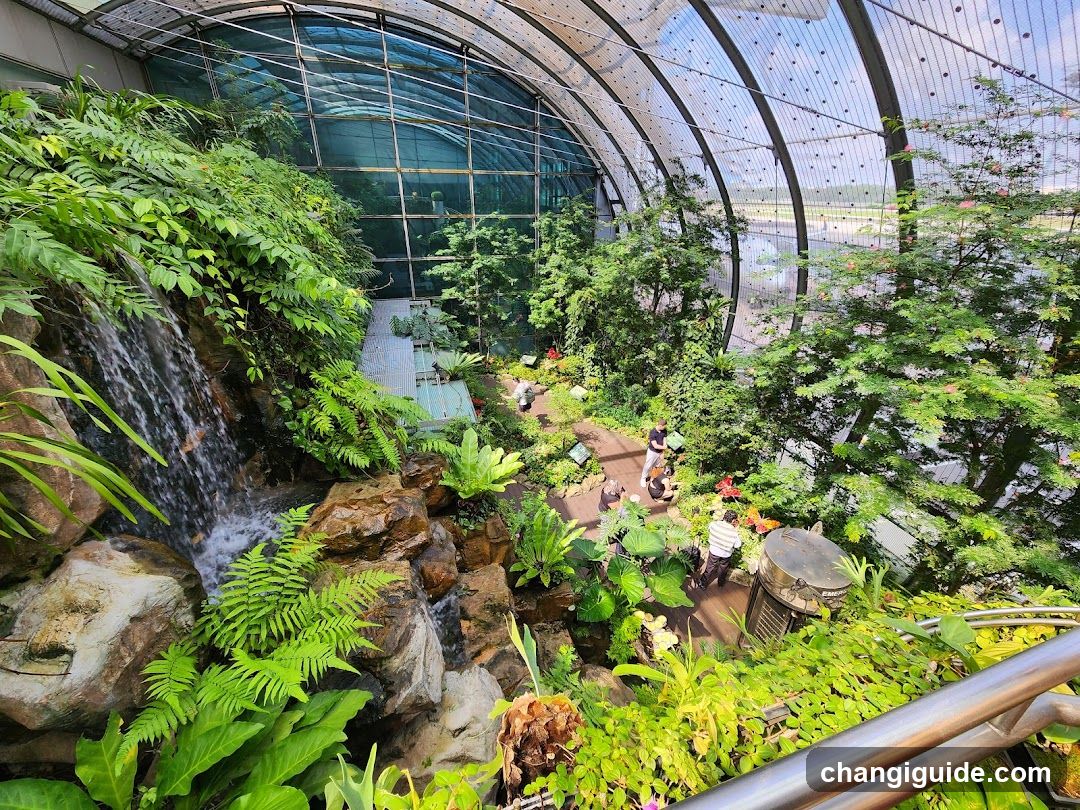 Indoor Garden with Waterfall and Visitors