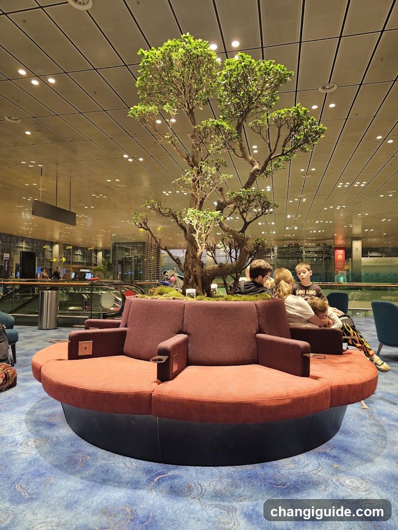 Bonsai Tree Lounge