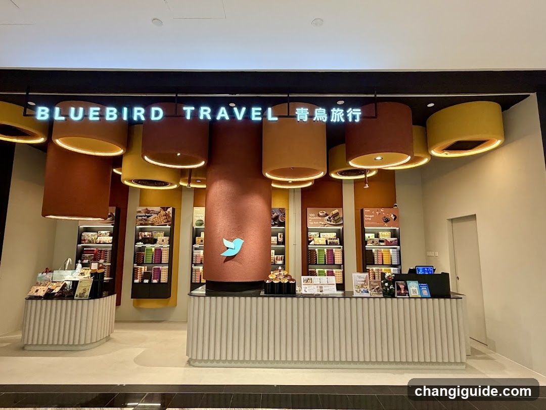 Bluebird Travel Store Interior