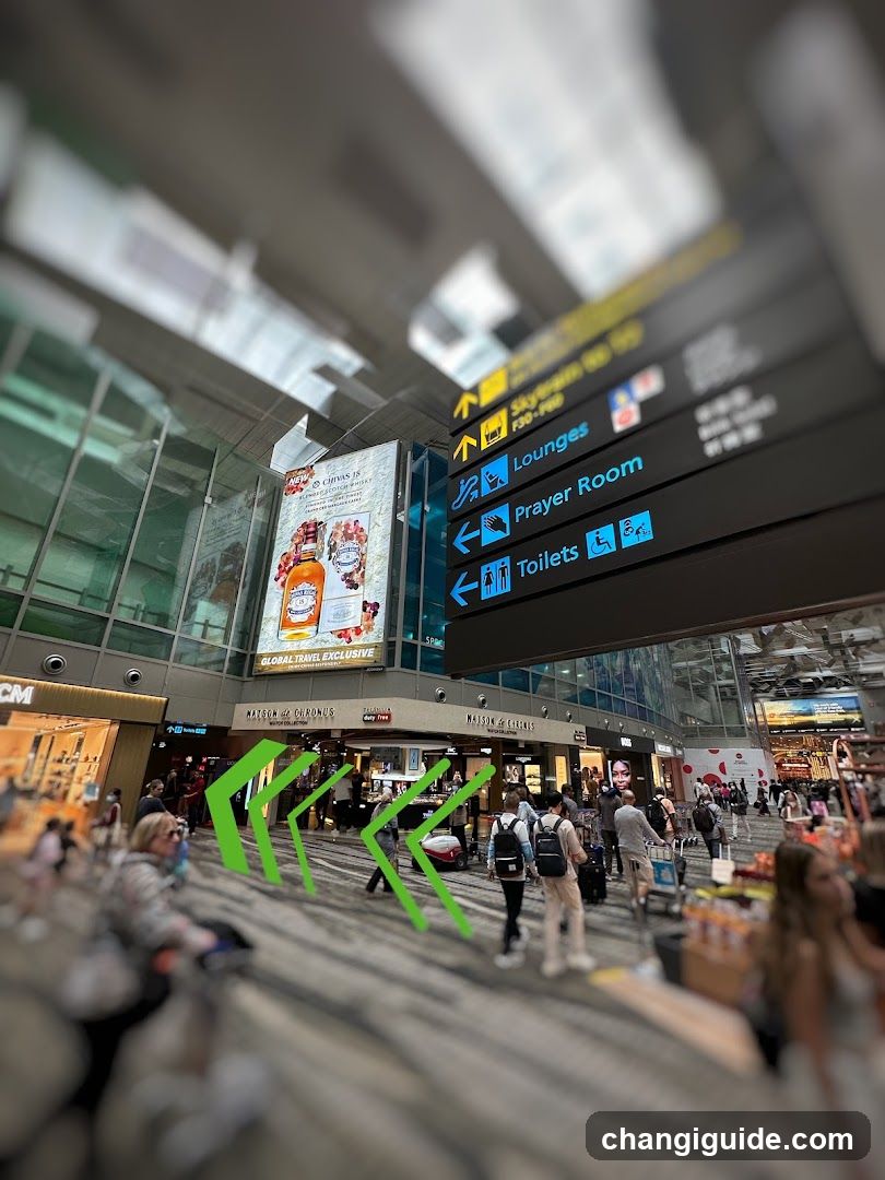 Airport Terminal Interior with Signage and Shops