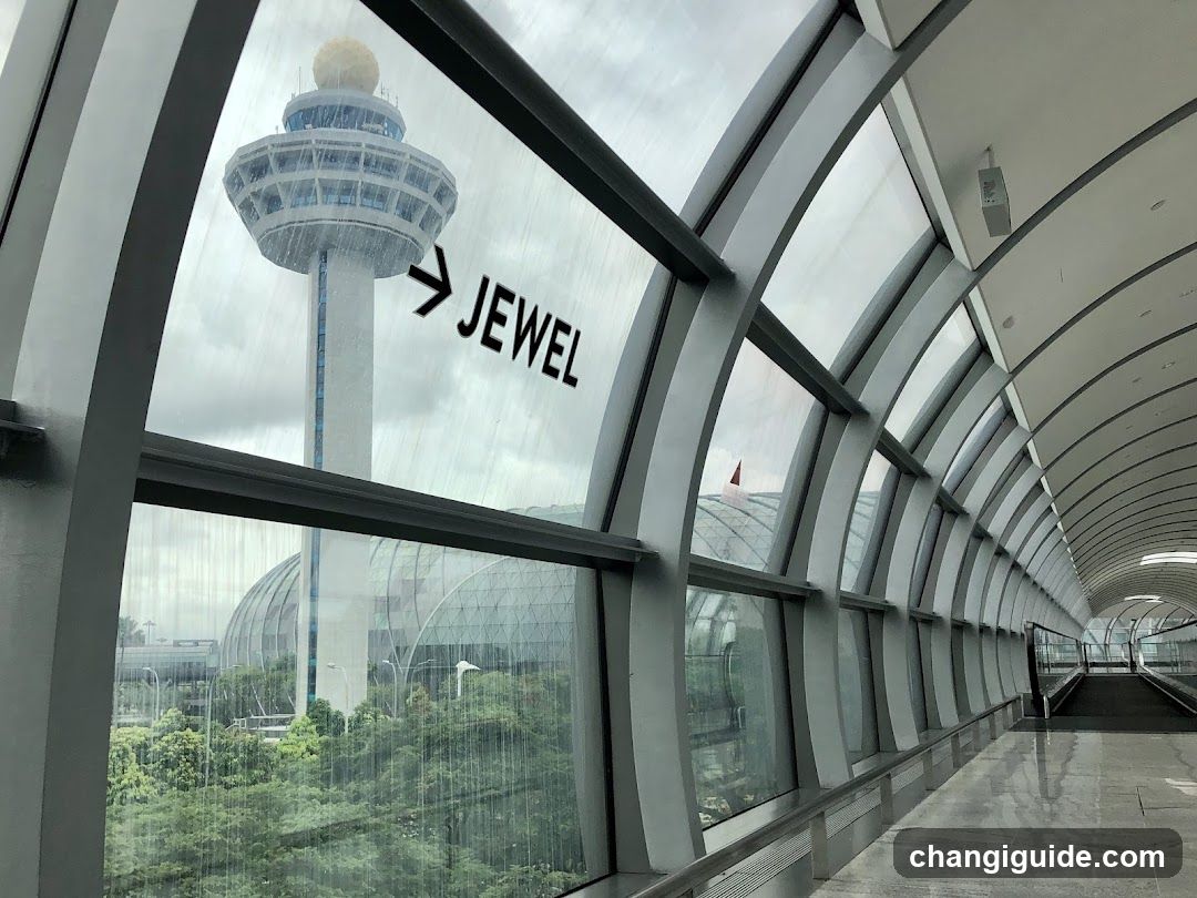 Jewel View from Terminal