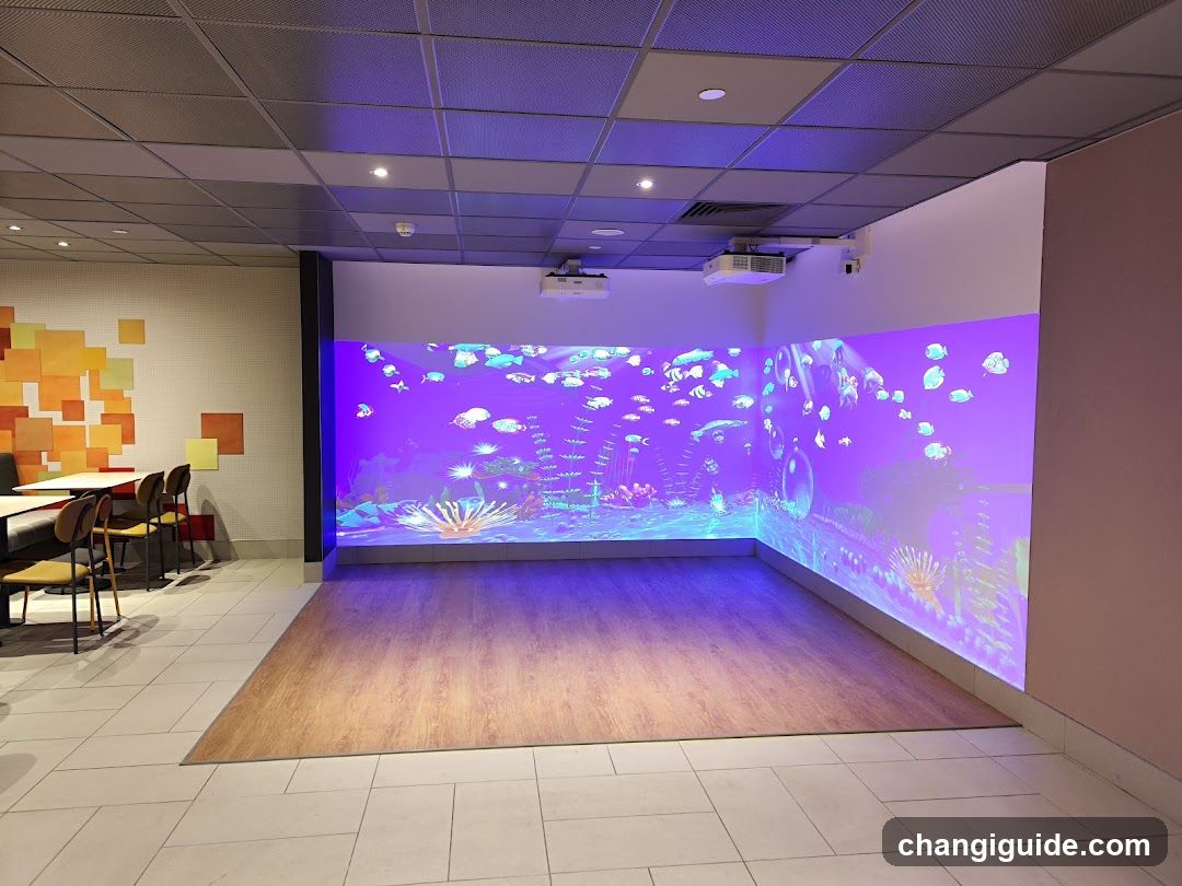 Aurora Borealis Projection Room