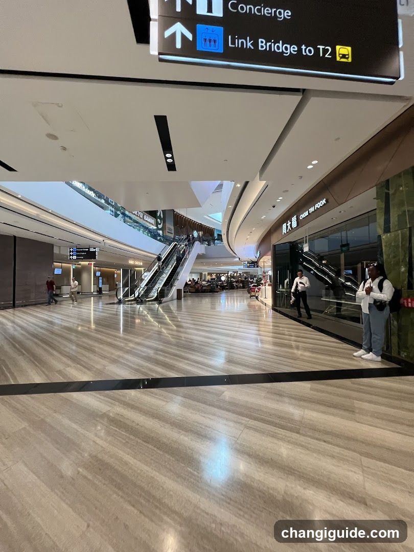 Airport Terminal Interior