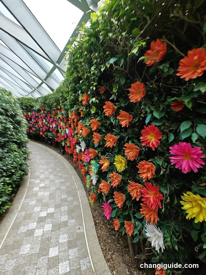 Hedge Maze @ Jewel