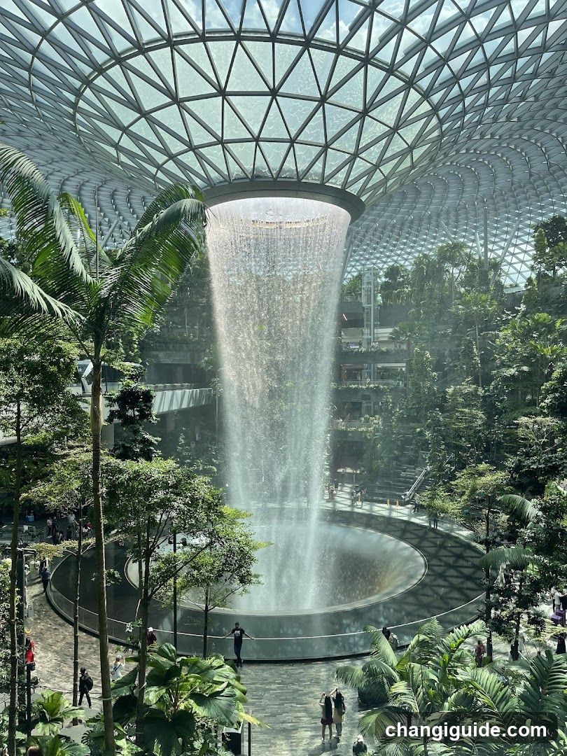 Indoor Waterfall Garden