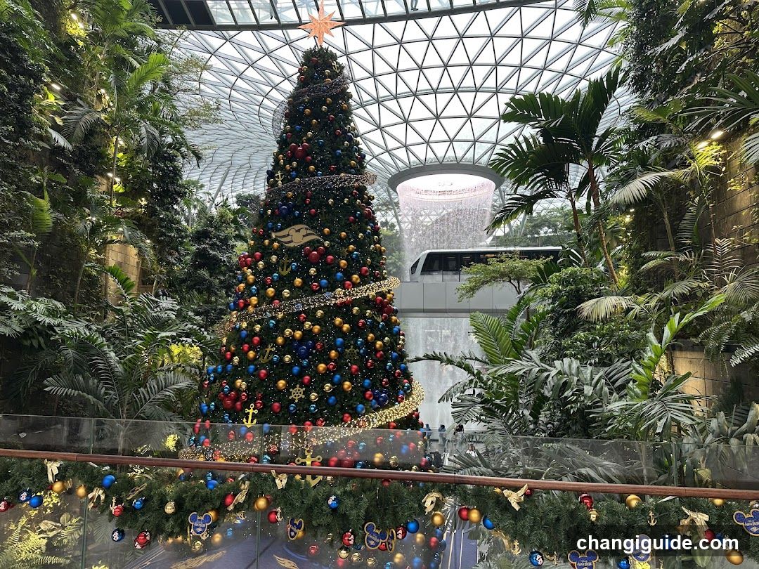 Christmas Tree in Garden