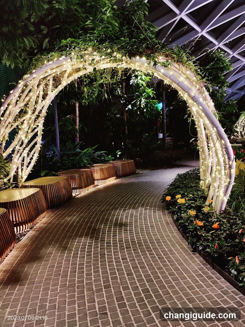 Lighted Garden Archway at Night