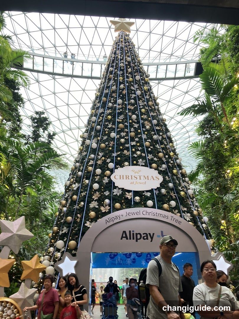 Christmas Tree at Jewel