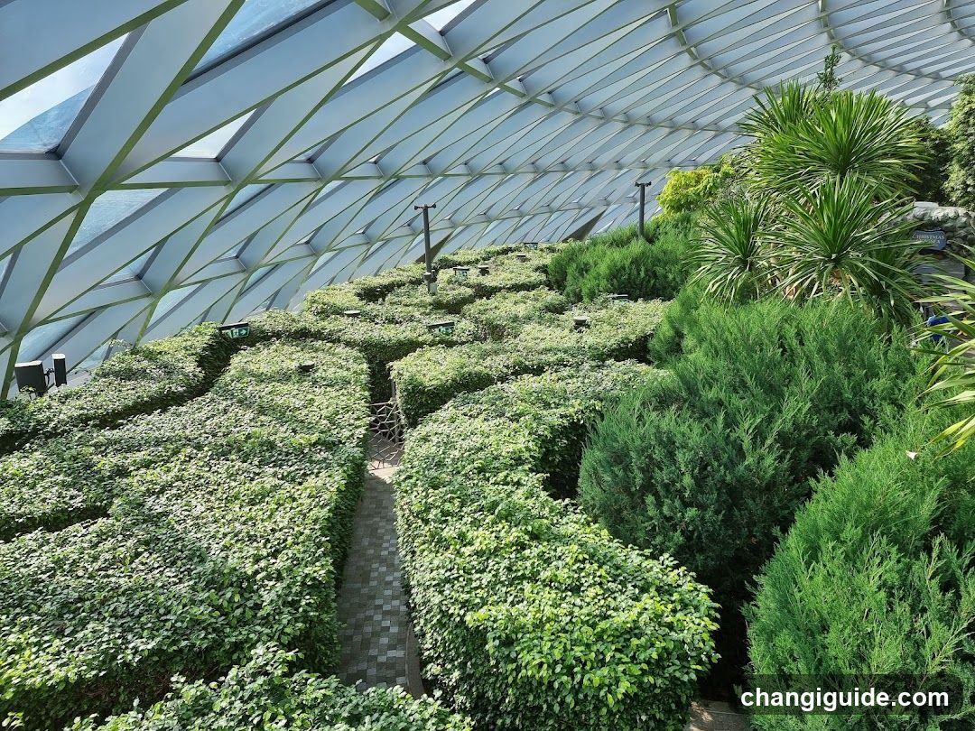 Indoor Garden Maze