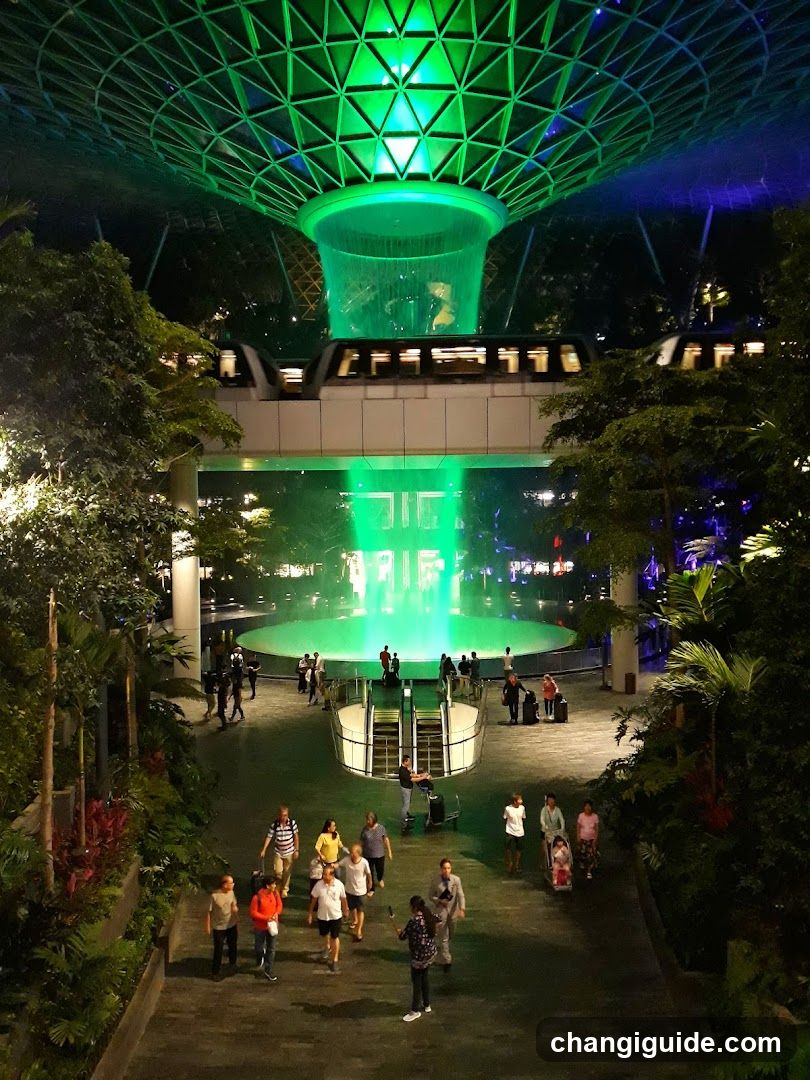 Gardens by the Bay Night View