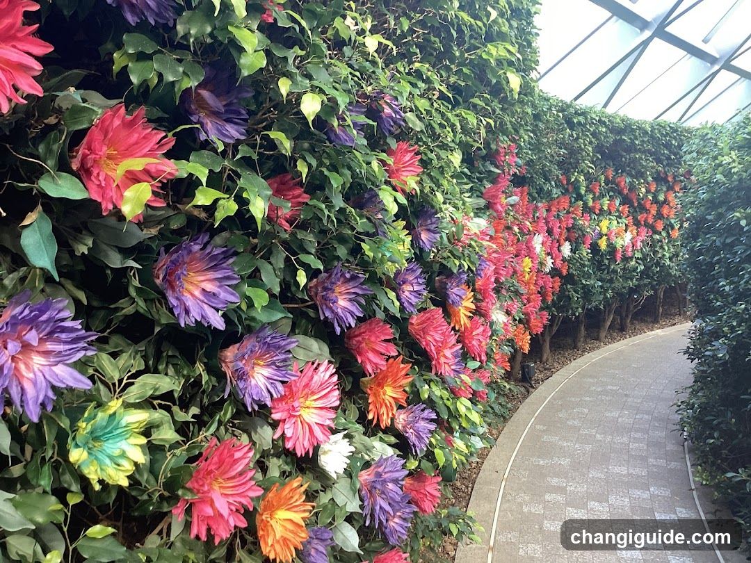 Flower Wall Garden Pathway