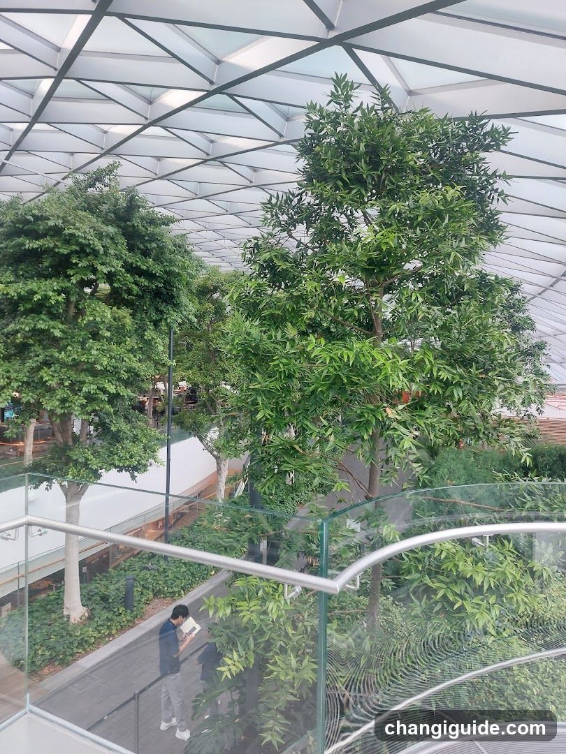 Indoor Garden View