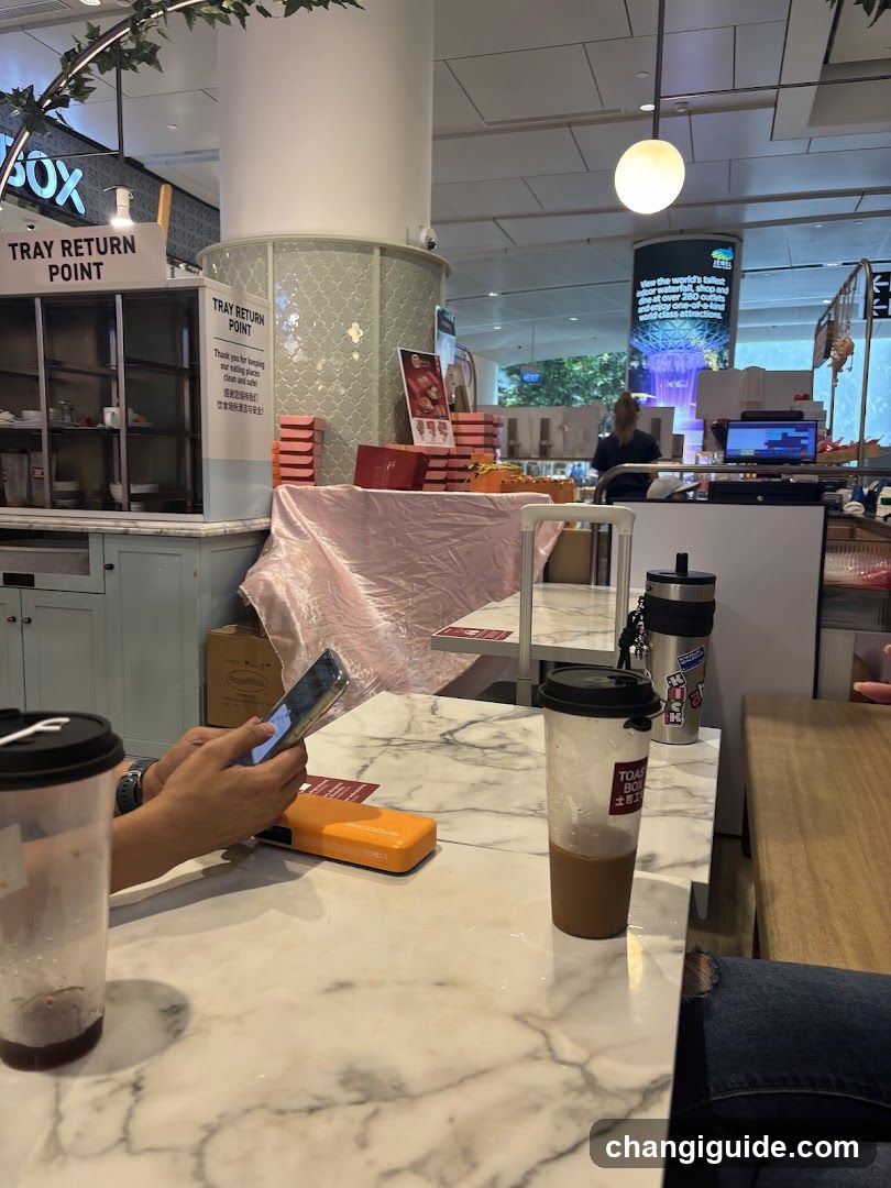 Food Court Interior with Tray Return Point