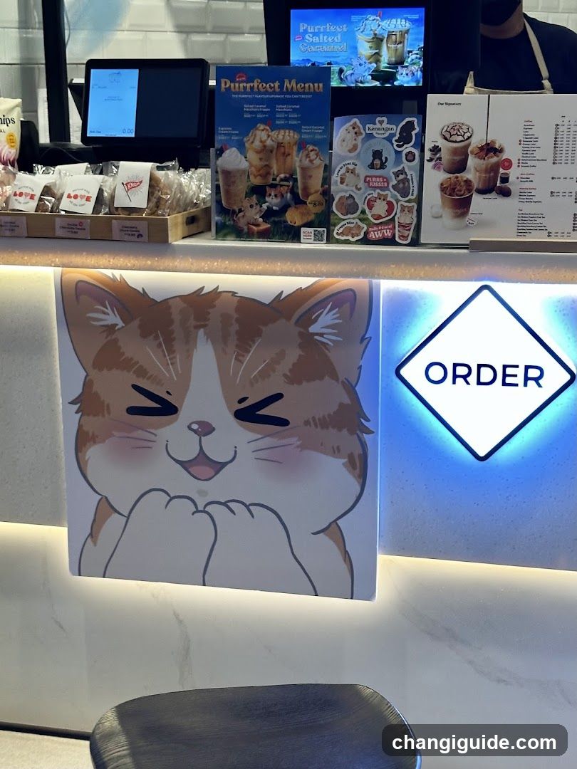 Cat-themed cafe counter display