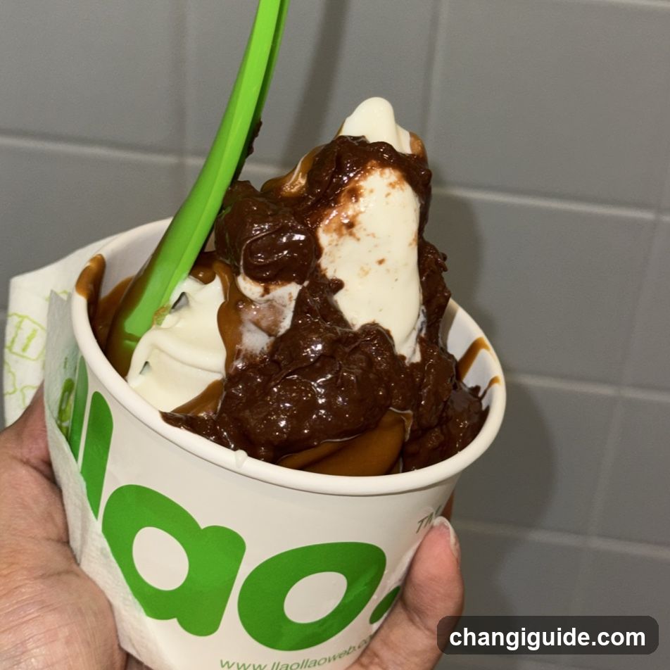 Ice cream cup with chocolate sauce