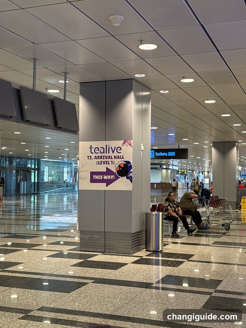 Airport Terminal Interior