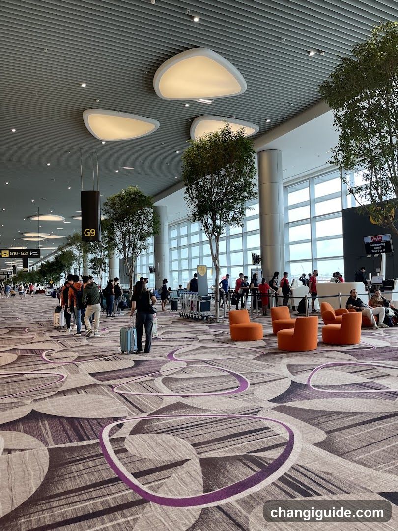 Airport Terminal Interior