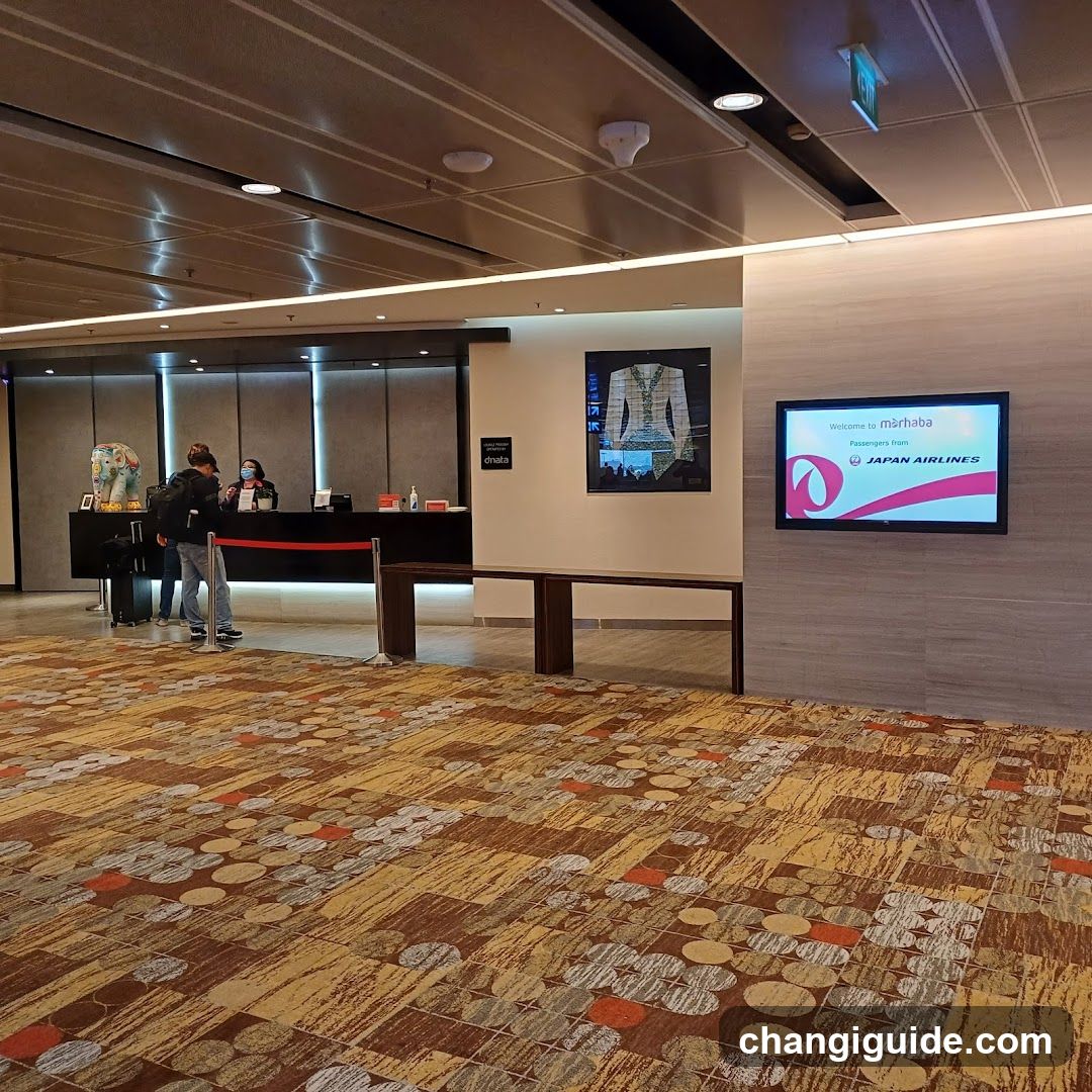 Airport Terminal Interior