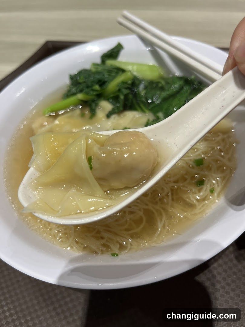 Wonton Noodle Soup