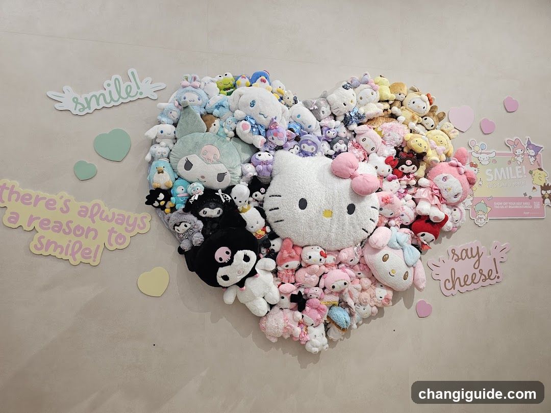 Plushie Heart Wall Display