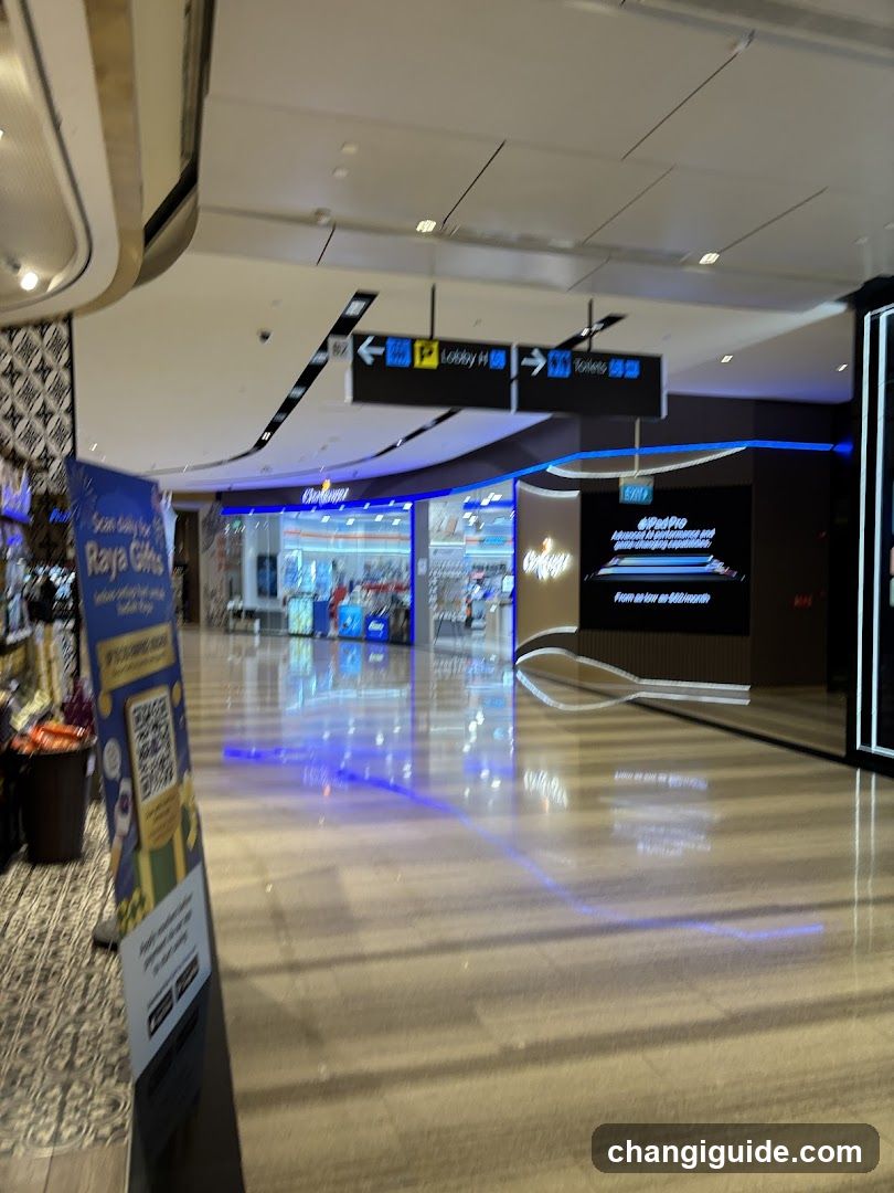 Airport Terminal Interior
