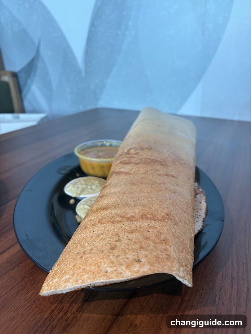 Kaveri Express Indian Vegetarian - Terminal 1 (AIRSIDE)