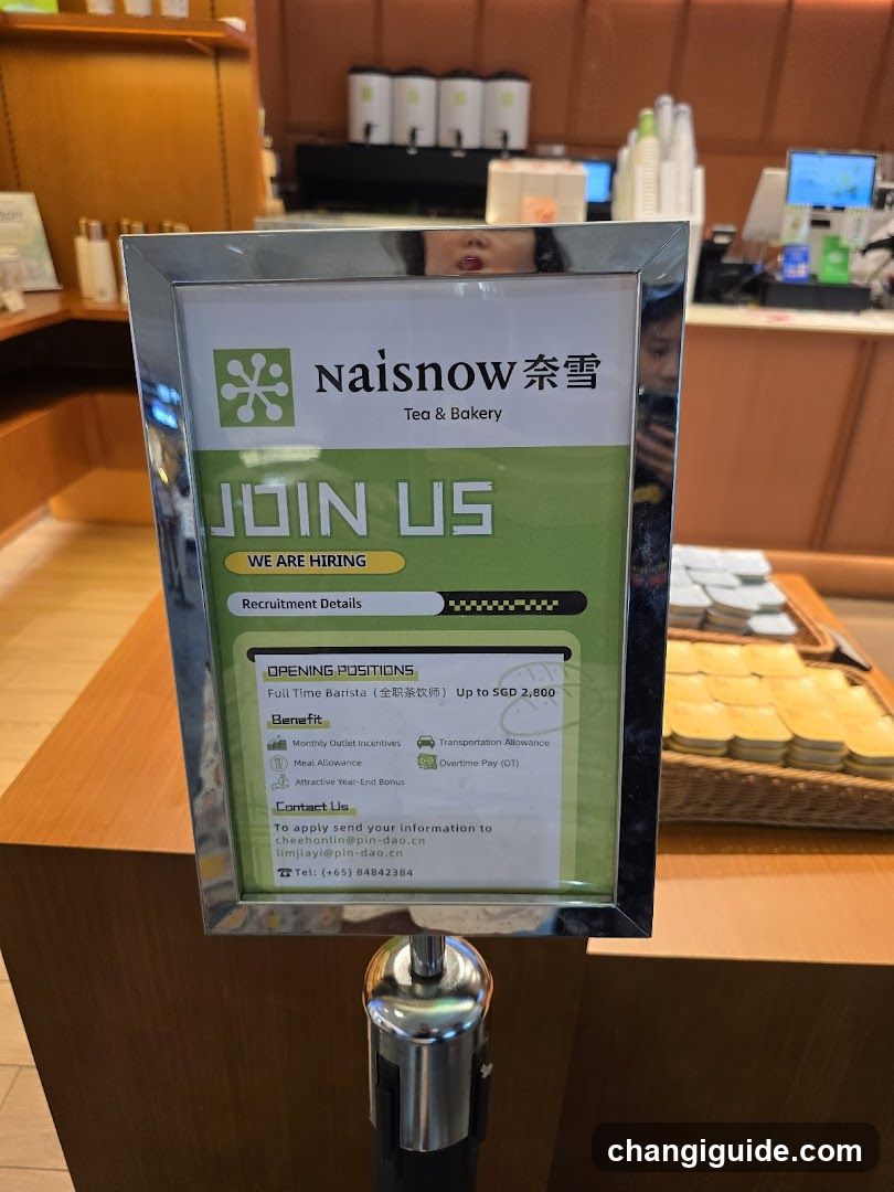 Nainsnow Recruitment Sign