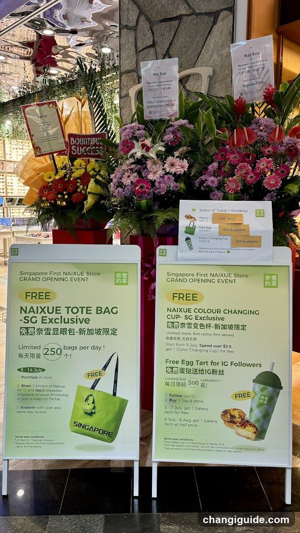 NAIXUE Store Grand Opening Event