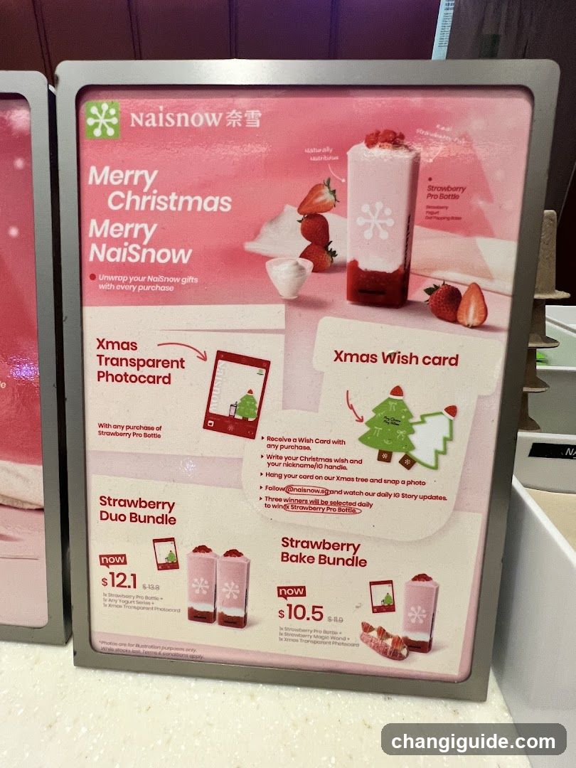 NaiSnow Christmas Promo Display