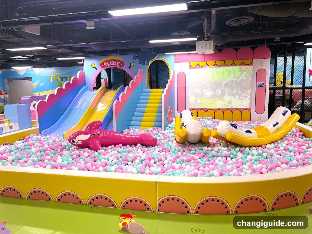 Indoor Play Area with Ball Pit and Slides