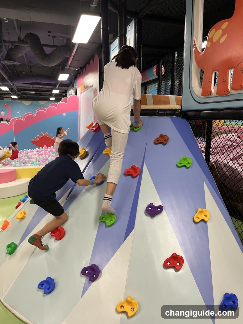 Indoor Play Area Climbing Wall