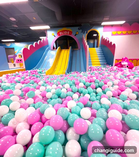 Indoor Ball Pit Play Area
