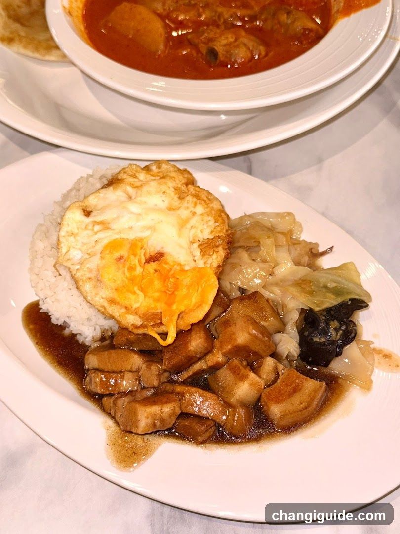 Food Plate with Fried Egg and Curry