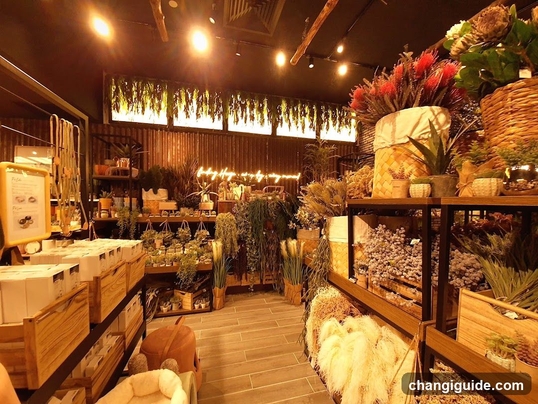 Interior of a botanical shop or plant store