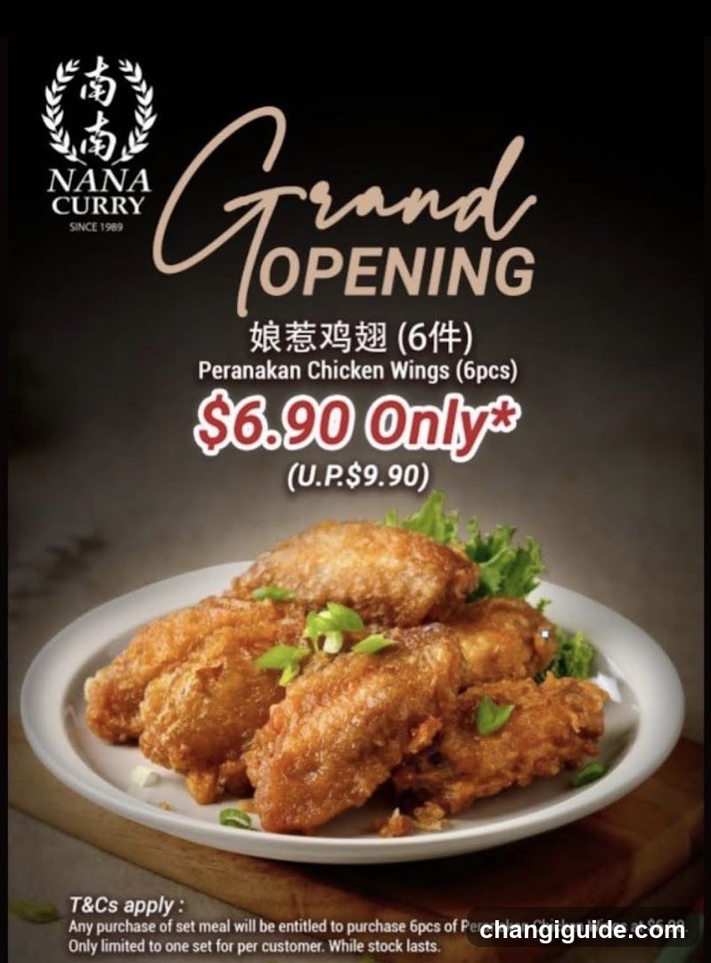 Nana Curry Grand Opening Ad