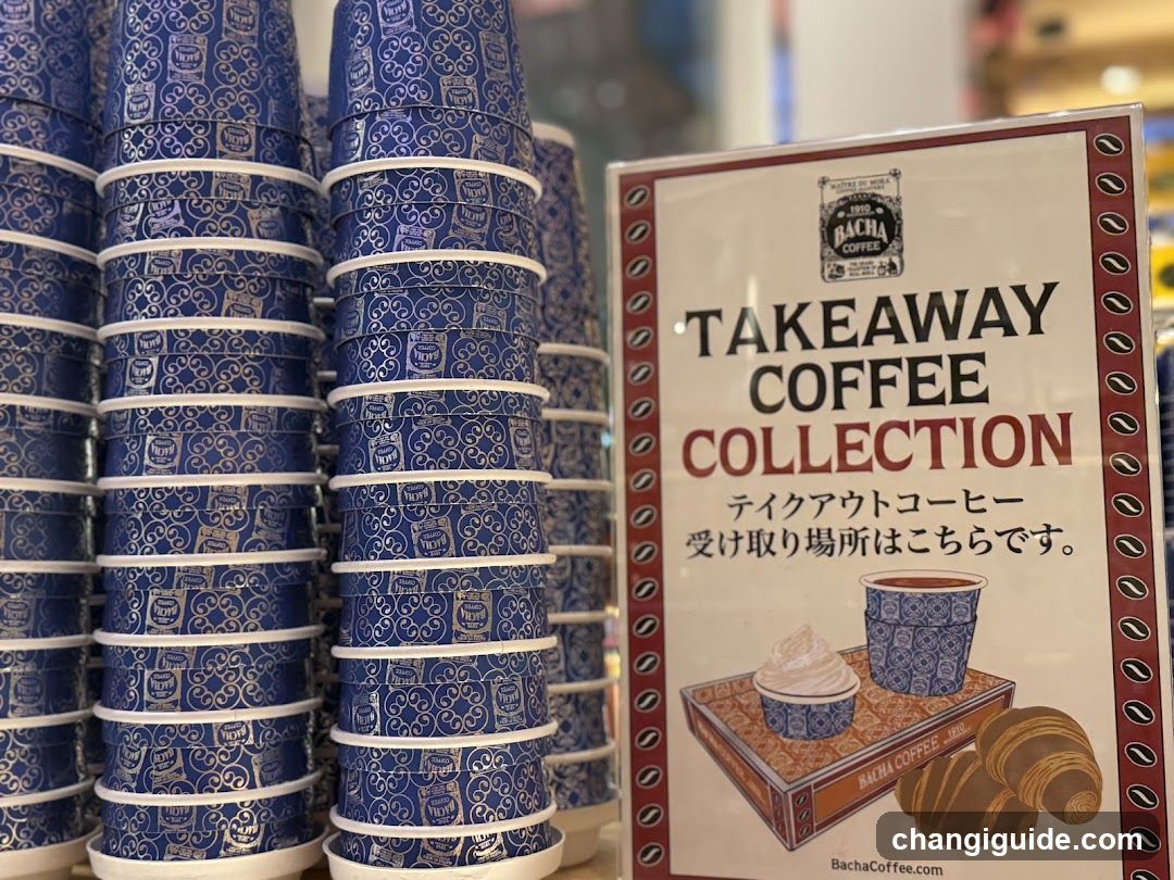 Bacha Coffee Takeaway Collection Display